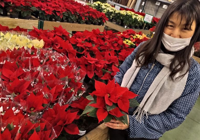 Naoko at chirsmas village