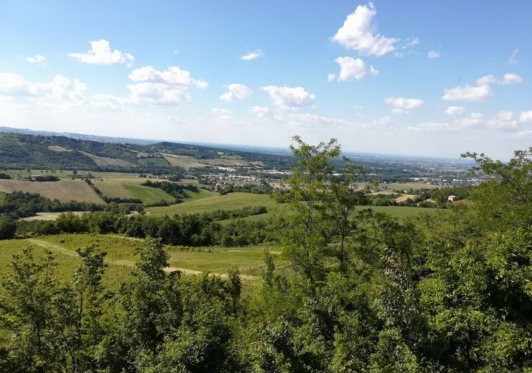 view from hill