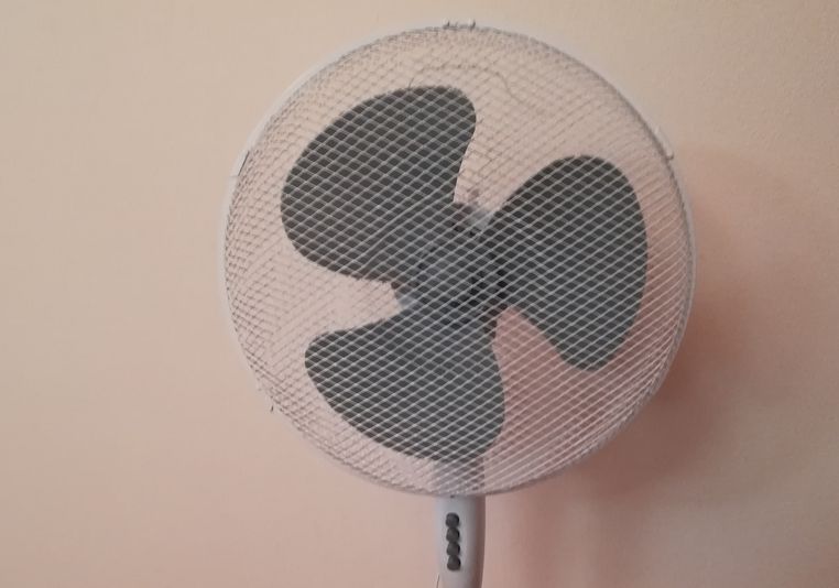 fan in Naoko's flat