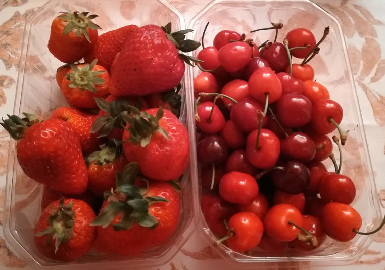 Fruits