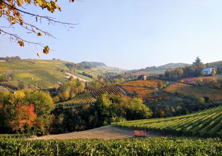photo taken in Piemonte