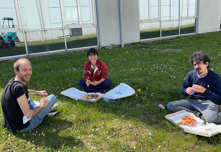 Picnic lunch