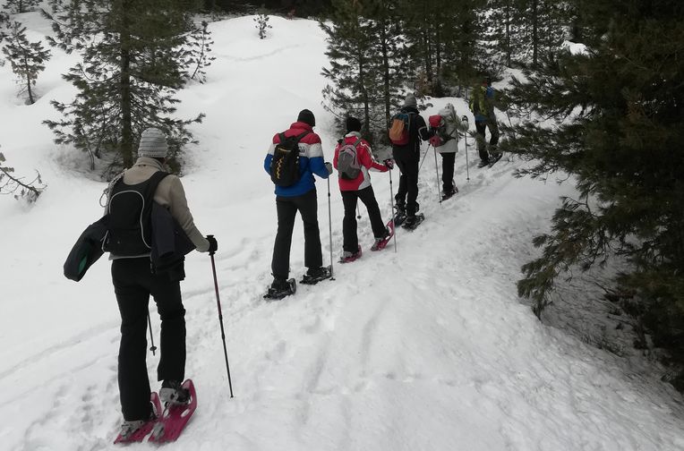 snowshoeing