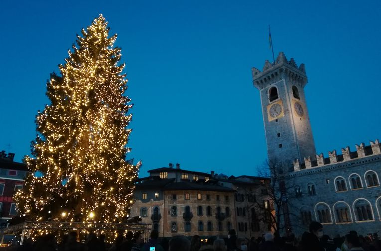 Christmas tree and duomo