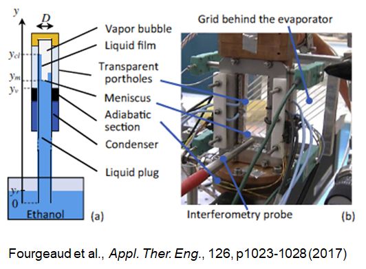 Exprimental setup of Fourgeaud et al.'s study